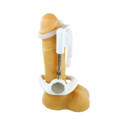 PRÓ EXTERNDER - EXTENSOR PENIANO PROFISSIONAL COM MANUAL IMPORTADO - Fabrica da Sedução