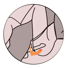 Anel Companheiro 15 x 3,2 cm - Sexy Fantasy - comprar online