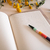 Caderno Cogumelos Notas Peculiares - Botanismo ® — Curious at heart