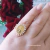 Anel Nossa Senhora Aparecida Filetes de Zircônias Banhado a Ouro 18k - comprar online