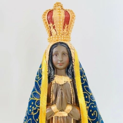 Imagem de Nossa Senhora Aparecida Brilhosa 40 cm - comprar online