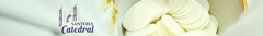 Banner de la categoría NIÑOS
