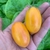 Semillas de Tomate Cherry Blush (Ruborizado) - Siembra Feliz