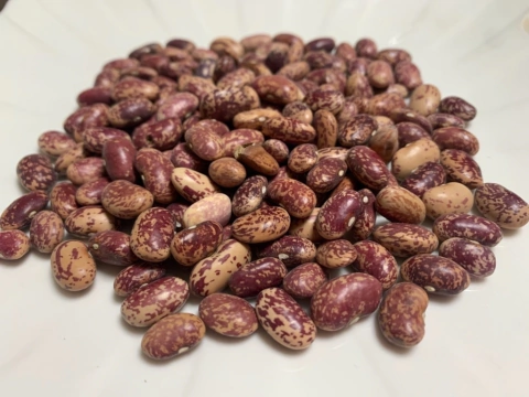 Semillas de Poroto Chala Rosada