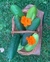 Semillas de Pepino Poinsett (Cucumis sativus)