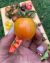 Semillas de Tomate Cherry Sunrise Bumblebee - tienda online