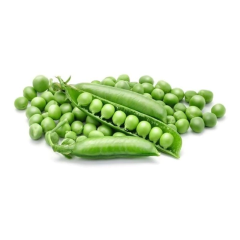 Semillas de Arveja Utrillo (Pisum sativum)