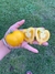 Imagen de Semillas de Tomate Anna Herman