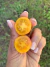 Semillas de Tomate Cherry Sunrise Bumblebee en internet