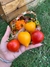 Semillas de Tomate Anna Herman - tienda online