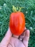Imagen de Semillas de Tomate San Marzano