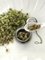 Semillas de Manzanilla (Matricaria chamomilla) - comprar online