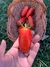 Semillas de Tomate San Marzano - comprar online