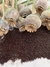Semillas de Amapola Peonia (Papaver somniferum) - tienda online