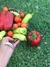 Semillas de Ají Banana (Capsicum annuum) en internet