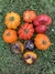 Combo de Semillas de Tomates Reliquia (10 variedades)