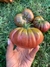 Imagen de Combo de Semillas de Tomates Reliquia (10 variedades)