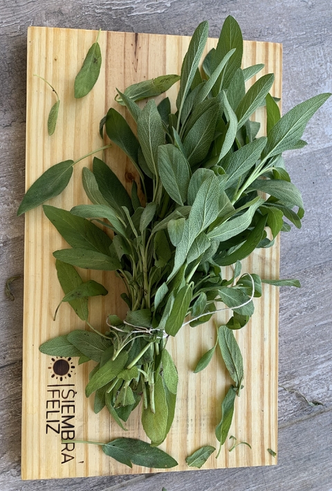 Semillas de salvia officinalis - comprar online