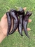 Semillas de Pimiento Cuerno de Toro Violeta (Capsicum annuumia)