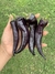 Semillas de Pimiento Cuerno de Toro Violeta (Capsicum annuumia) - comprar online