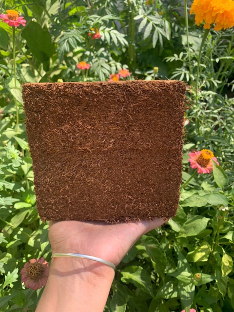 Ladrillo de Fibra de Coco