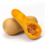 Semillas de Zapallo Cokena (Cucurbita moschata) - comprar online
