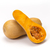 Semillas de Zapallo Frontera (Cucurbita moschata Duch)