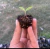 Sustratos Para Huerta y Jardin 