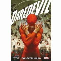 Panini - Daredevil 01