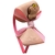 Tiara de laço dobrado Capivara marrom e Rosa bebe - comprar online