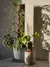 Moss Pole S (pack 4u)