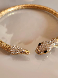 Colar Serpente com pedraria - loja online