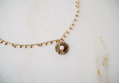 Imagen de Collar Compania