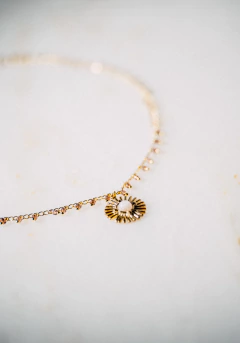 Collar Compania en internet