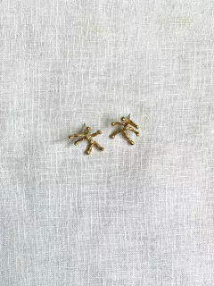 AROS CORAL en internet