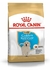 Royal Canin Perro Golden Retriever Junior
