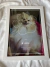 quadro pet com foto e spotify code - comprar online