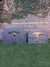 Puerta de Horno de Chapa con Visor en internet