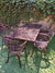 Juego de Jardin Boston - Mesa Rectangular con 8 Sillones - comprar online