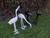 GARZAS DE JARDÍN FUNDICIÓN DE ALUMINIO - comprar online
