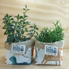 Cachepô A vida é melhor com gatos - Tecido e Juta - Tag Personalizada