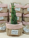 Cachepô Rosé Amor - Lembrancinha de Casamento - Tag Personalizada - Juta & Tecido