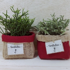 Cachepô Linho - Cores do Amor - Tag Personalizada - Juta & Tecido - loja online