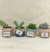 Cachepô Florais Coloridos - Frases - Tag Personalizada - Juta & Tecido