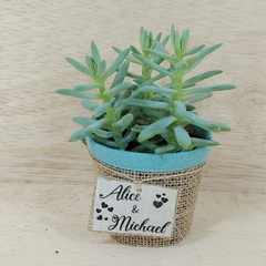 Rótulo Cachepô de Juta - Estampas Verde Menta - Juta & Tecido na internet