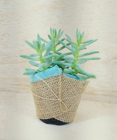Cachepô Rótulo - Detalhe em Tecido - Pote 6 - Sem Tag - comprar online
