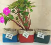Cachepô Plante Amor - Lembrancinha de Aniversário - Tag Personalizada - Juta & Tecido