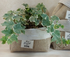 Cachepô Que a Felicidade Vire Rotina - Floral Verde Menta - Tag Personalizada - Juta & Tecido