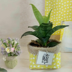Cachepô A Melhor Mãe do Mundo - Corações Coloridos - Juta e Tecido - Cestinho - Dia das Mães - Lembrancinha - comprar online