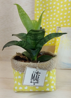 Cachepô Corações Coloridos - Tag Personalizada - Juta & Tecido - Craft.Mimo